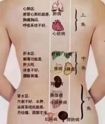 -香薇妮丝女子减肥院
