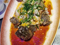 -曼格纳·曼芯馆(杨浦店)
