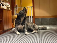 -大江户·温泉洗浴(浑南店)
