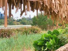 -华侨城湿地公园