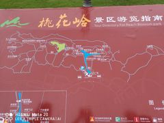 -桃花岭景区