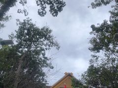 -清境桃源