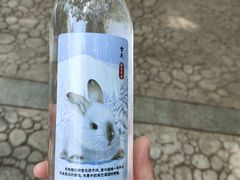 -成都动物园