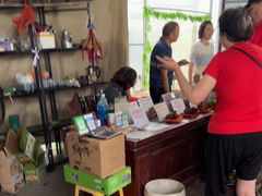 -马陆小张葡萄园农家乐