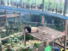 -大连森林动物园