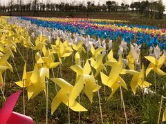 -杭州湾海上花田景区