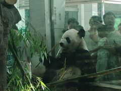 -成都动物园