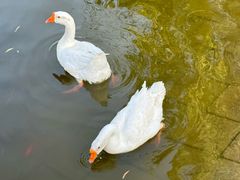 -西海子公园