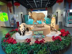 -陕西自然博物馆