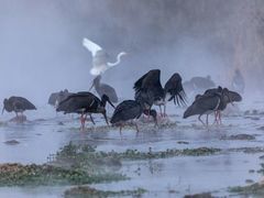 -沕沕水生态风景区