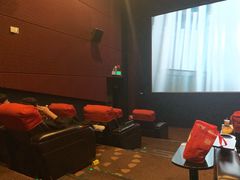 VIP厅-万达影城(洛阳万达广场IMAX激光店)