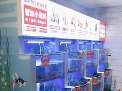 -七欣天香辣蟹火锅(南京建宁路大观天地店)