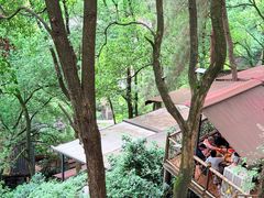 -巴倒烫陆派火锅山庄(南山总店)