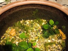 -瓦舍茶馆(聚源路店)