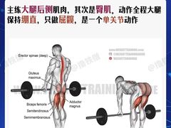 -星动力健身俱乐部(新塘店)