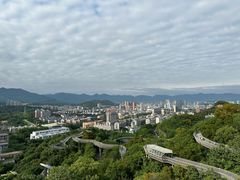 -福道