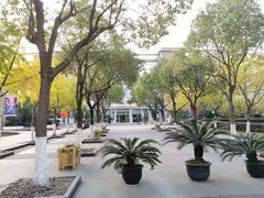 -上海市实验学校