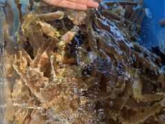-黑木原精致料理·铁板烧
