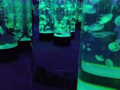 -成都浩海立方海洋公园