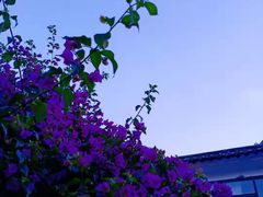 -浔岚云舍mist静谧观景美宿(丽江古城店)