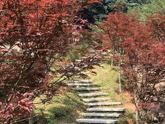 -广州市帽峰山景区
