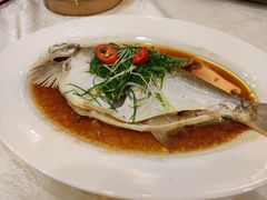 -有腥气私房菜·寻味顺德