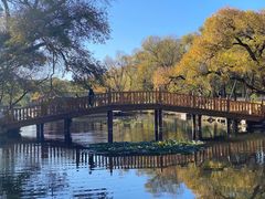 -承德避暑山庄景区