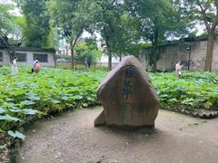 -绍兴鲁迅故里·沈园景区