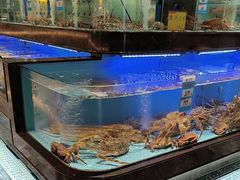 -阿伟海鲜楼·福建菜(延寿店)