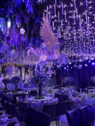 -花嫁丽舍婚礼殿堂(世博江景店)