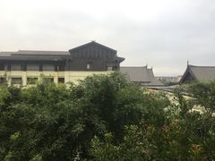 -西双版纳融创皇冠假日度假酒店