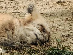 -杭州野生动物世界