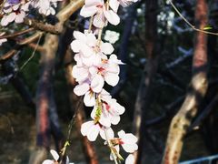 -三里河公园