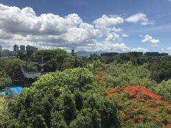 -巍阁月子中心(南山店)