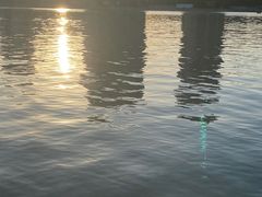 -映月湖中央公园