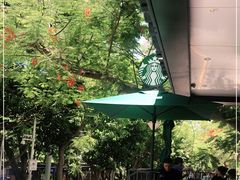 -星巴克(深圳侨城街店)