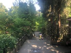 -都江堰普照寺
