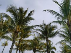 -深圳湾公园(南山区)