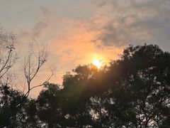 -飞凤山奥体公园