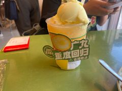 -广九餐室(陈家祠扬韬广场店)