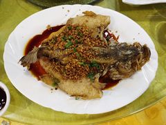 油淋鲈鱼-粤·向群饭店(泮塘路店)