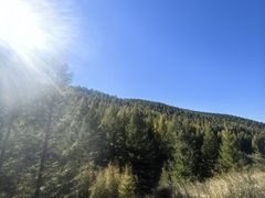 -苏木山森林公园