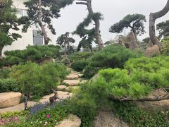 -罗红摄影艺术馆