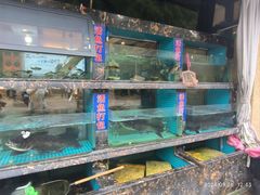 -浔味·山屿湖·正宗淳牌全鱼宴老字号