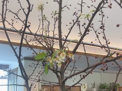 -墨宴(西洋湖店)