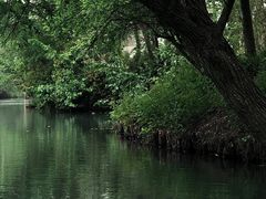 -西溪国家湿地公园