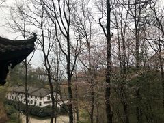 -镇龙山国家森林公园