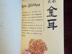 -滇野云南野生菌餐厅(陕西南路店)