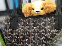 -Goyard 高雅德(国贸商城店)