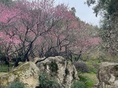 -团城山公园